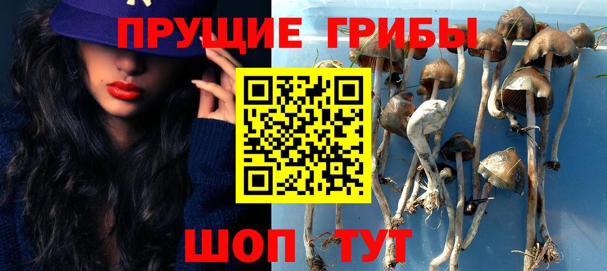 Донецк  ТГК  КОКАИН  Вход с VPN  Меф МЯУ МЯУ кристаллы  Марихуана  ГАШ 