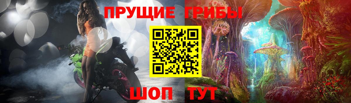 Галлюциногенные грибы прущие грибы  Вход с VPN  Донецк 
